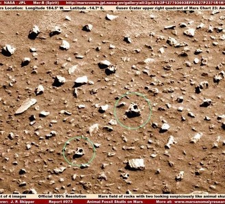 Еще раз о Марсе, его жизни и посещениях человека 